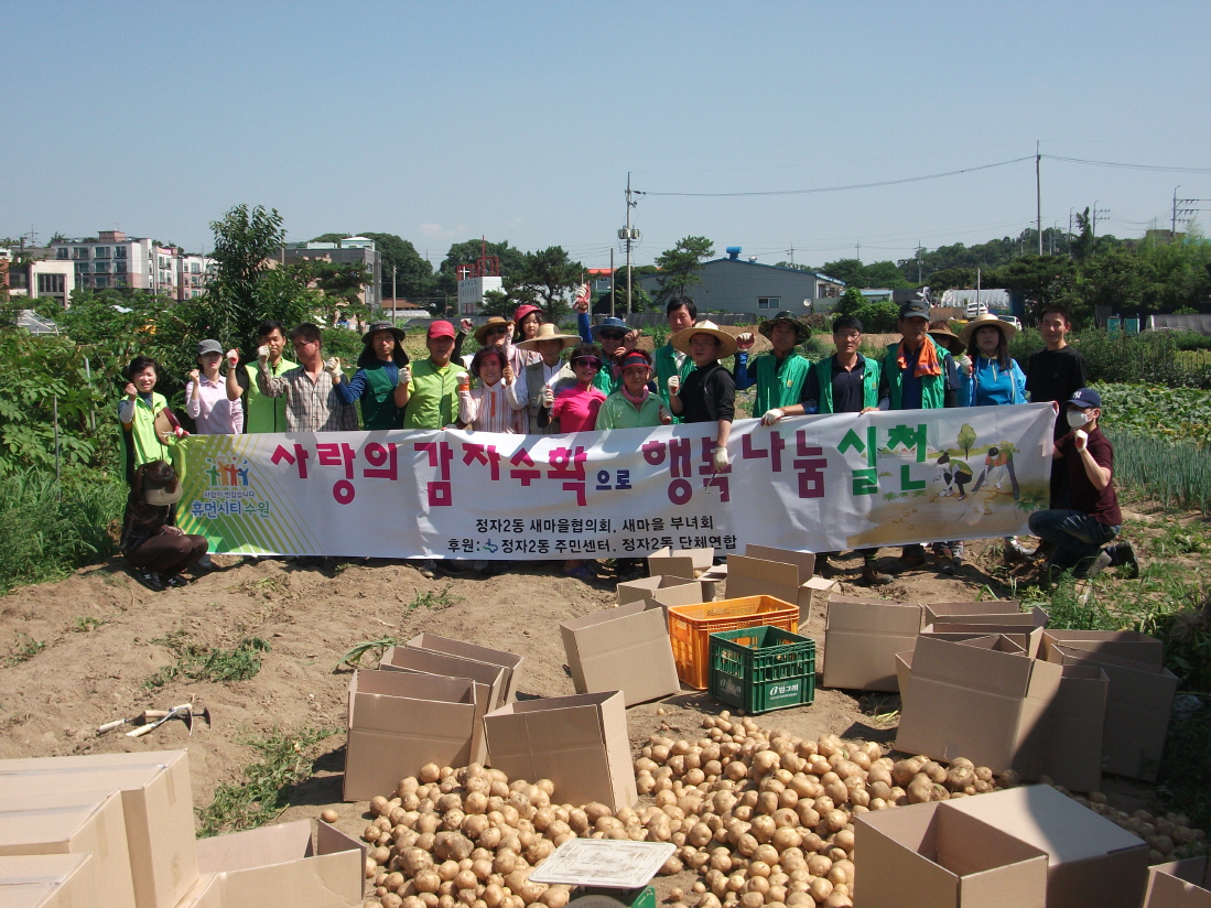 감자수확